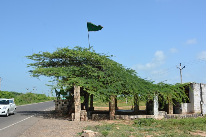 6 jai Jivi sati Aayi